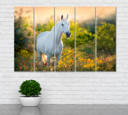 White Horse in Poppy Flowers Canvas Print ArtLexy 5 Panels 36"x24" inches 