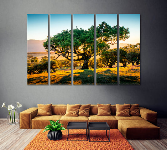 Beautiful Laurel Trees in Fanal Forest Madeira Portugal Canvas Print ArtLexy   