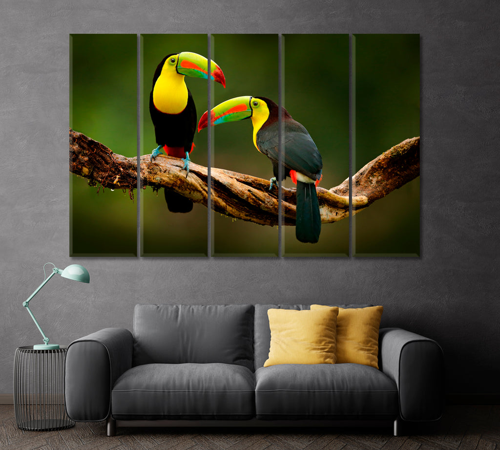 Toucans on Branch Costa Rica Forest Canvas Print ArtLexy 5 Panels 36"x24" inches 
