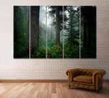 Coniferous Trees in Forest of Taiga Siberia Russia Canvas Print ArtLexy 5 Panels 36"x24" inches 