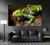 Crested Iguana on Viti Levu Island Fiji Canvas Print ArtLexy 5 Panels 36"x24" inches 