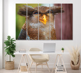 Funny Owl Canvas Print ArtLexy 5 Panels 36"x24" inches 