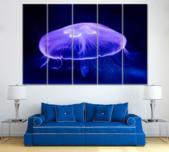 Moon Jellyfish (Aurelia aurita) Canvas Print ArtLexy 5 Panels 36"x24" inches 