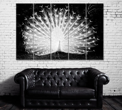 White Peacock in Black and White Canvas Print ArtLexy 5 Panels 36"x24" inches 