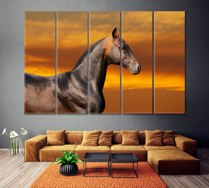 Akhal-Teke Horse Canvas Print ArtLexy 5 Panels 36"x24" inches 