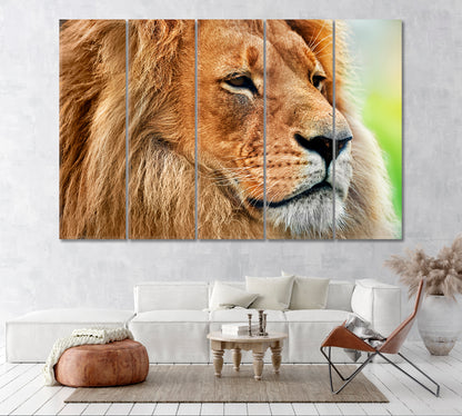 Wild Lion Portrait Canvas Print ArtLexy 5 Panels 36"x24" inches 