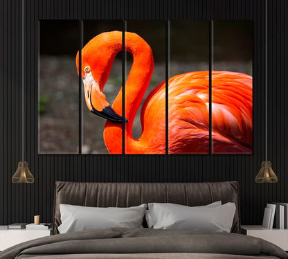 American Flamingo Canvas Print ArtLexy 5 Panels 36"x24" inches 