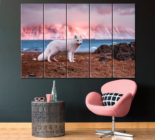 Arctic Fox in Norway Canvas Print ArtLexy 5 Panels 36"x24" inches 