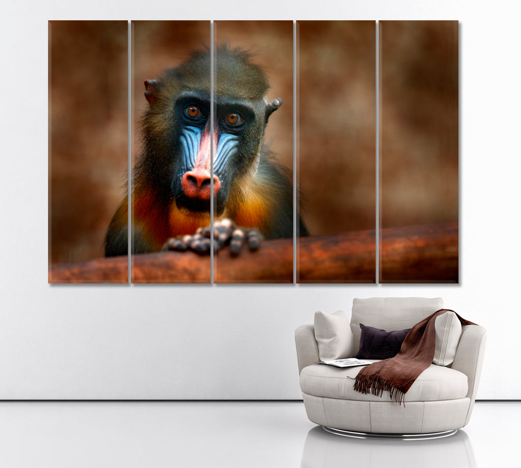 Mandrill Monkey in Nature Habitat Gabon Africa Canvas Print ArtLexy 5 Panels 36"x24" inches 