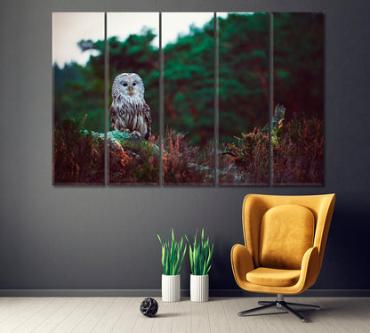 Ural Owl in Forest Canvas Print ArtLexy 5 Panels 36"x24" inches 