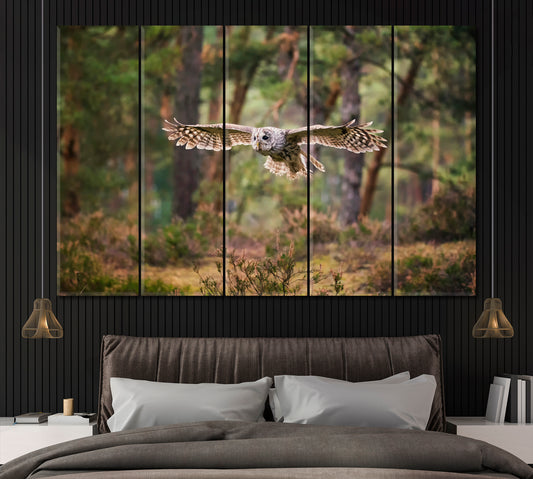 Tawny Owl in Forest Canvas Print ArtLexy 5 Panels 36"x24" inches 