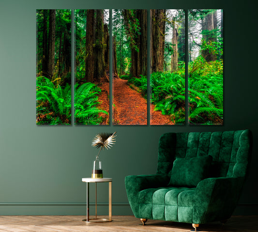 Redwood Forest at Redwoods National and State Parks in California Canvas Print ArtLexy 5 Panels 36"x24" inches 