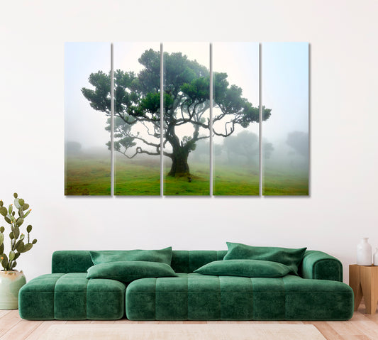 Fanal Foggy Forest Madeira Island Canvas Print ArtLexy   