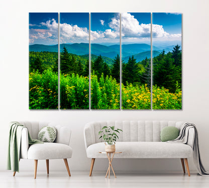Blue Ridge Mountains North Carolina Canvas Print ArtLexy 5 Panels 36"x24" inches 