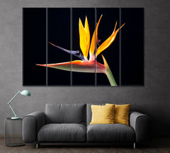 Strelitzia Bird of Paradise Flower Canvas Print ArtLexy 5 Panels 36"x24" inches 