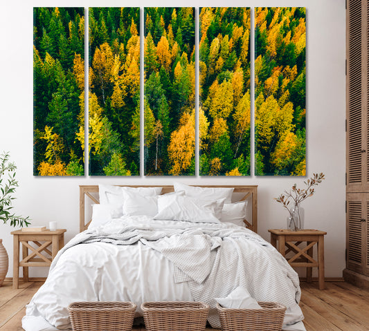 Top View of Finland Autumn Forest Canvas Print ArtLexy 5 Panels 36"x24" inches 