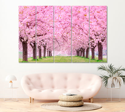 Beautiful Cherry Blossoms Japan Canvas Print ArtLexy 5 Panels 36"x24" inches 