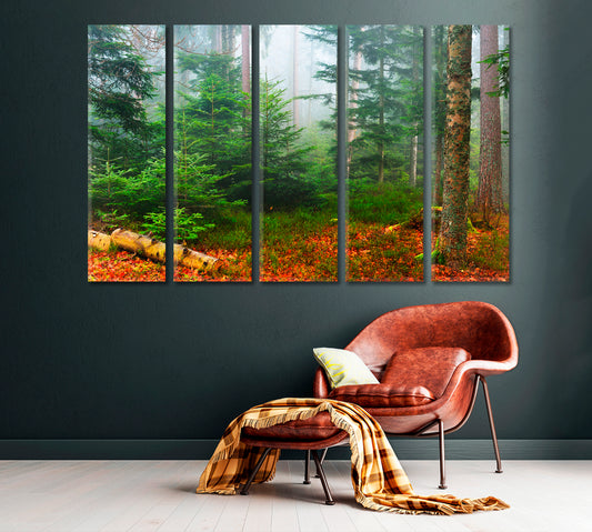 Misty Pine Forest Canvas Print ArtLexy   