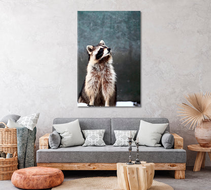 Raccoon in Snow Canvas Print ArtLexy   