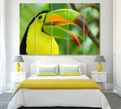 Keel Billed Toucan Canvas Print ArtLexy 5 Panels 36"x24" inches 