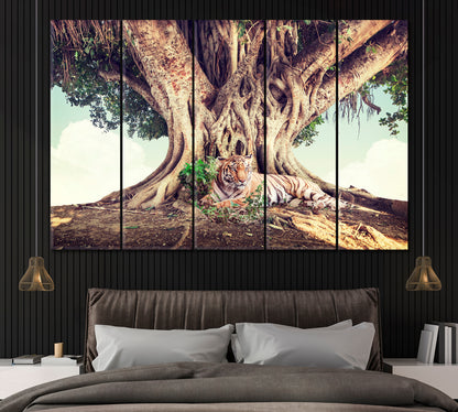 Tiger under Banyan Tree India Canvas Print ArtLexy 5 Panels 36"x24" inches 