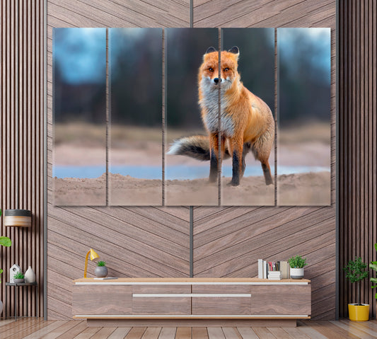 Funny Red Fox Canvas Print ArtLexy 5 Panels 36"x24" inches 