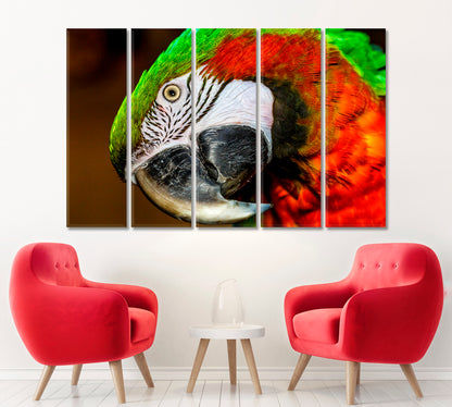Red-and-Green Macaw Canvas Print ArtLexy   