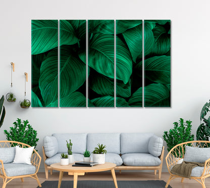 Leaves of Spathiphyllum Cannifolium Canvas Print ArtLexy 5 Panels 36"x24" inches 