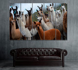 Herd of Alpaca Bolivia Canvas Print ArtLexy 5 Panels 36"x24" inches 