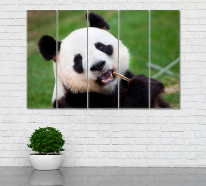 Giant Panda Canvas Print ArtLexy 5 Panels 36"x24" inches 