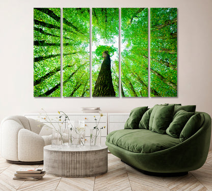 Green Forest of Oak and Lime Trees Canvas Print ArtLexy   