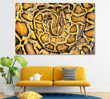 Yellow Python Snake Canvas Print ArtLexy 3 Panels 36"x24" inches 