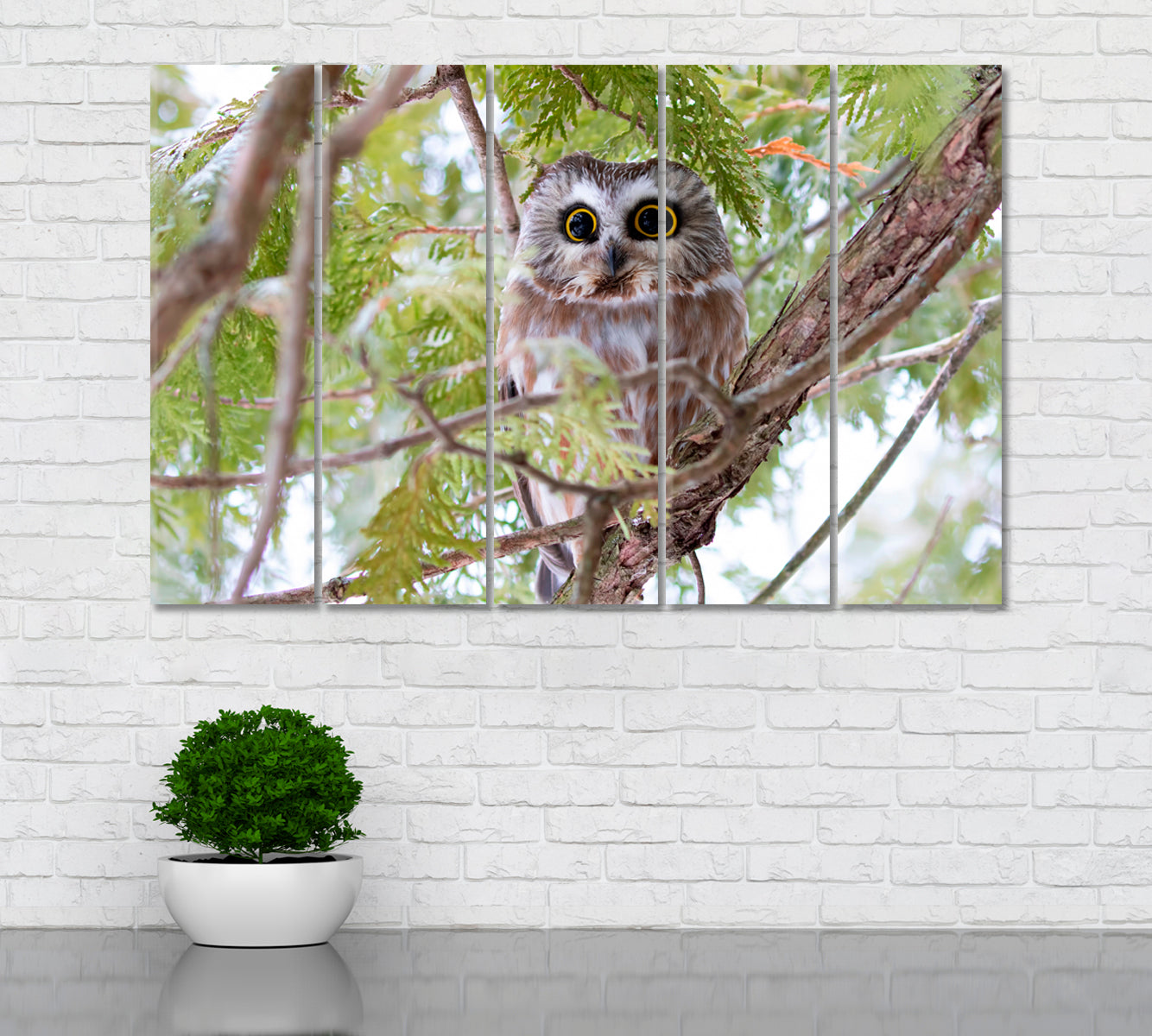 Northern Saw-Whet Owl Canvas Print ArtLexy 5 Panels 36"x24" inches 