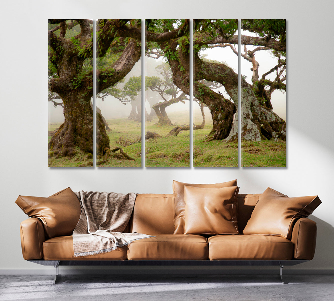 Ancient Trees of Magical Fanal Forest on Madeira Portugal Canvas Print ArtLexy   