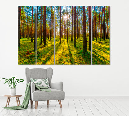 Sun Rays in Pine Forest Canvas Print ArtLexy 5 Panels 36"x24" inches 