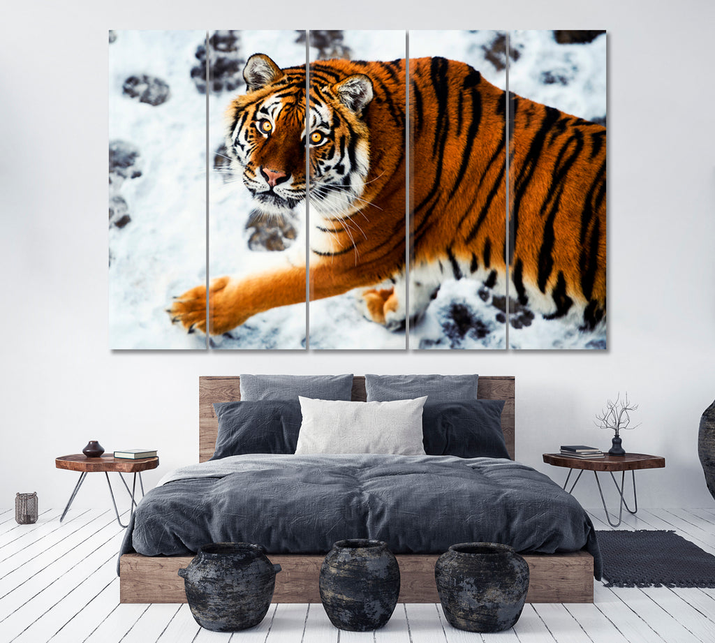 Amur Tiger with Footprints in Snow Canvas Print ArtLexy 5 Panels 36"x24" inches 