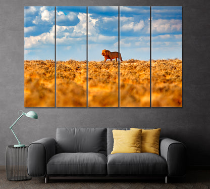 Wild Lion in Natural Habitat Africa Canvas Print ArtLexy 5 Panels 36"x24" inches 