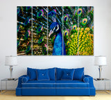 Peacock with Open Tail Canvas Print ArtLexy 5 Panels 36"x24" inches 