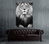 Stern Lion Canvas Print ArtLexy 1 Panel 16"x24" inches 