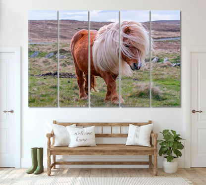 Shetland Pony on Scottish Moor Canvas Print ArtLexy 5 Panels 36"x24" inches 