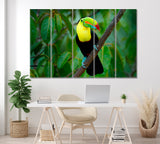 Keel-Billed Toucan Costa Rica Canvas Print ArtLexy 5 Panels 36"x24" inches 