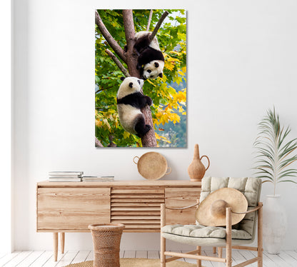 Two Giant Pandas Canvas Print ArtLexy   