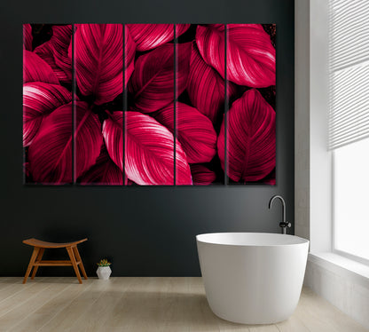 Red Leaves of Spathiphyllum Cannifolium Canvas Print ArtLexy 5 Panels 36"x24" inches 