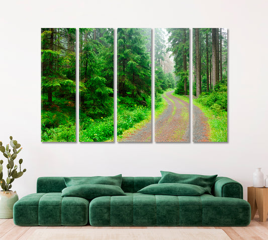 Forest Winding Road Canvas Print ArtLexy   