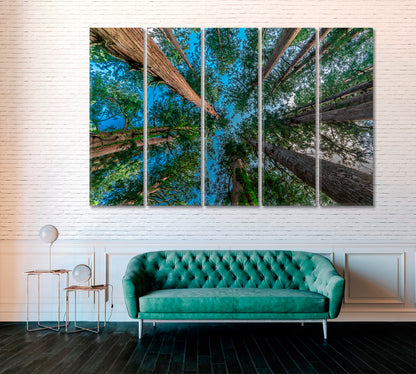 Japanese Cedar Forest at Mount Haguro Canvas Print ArtLexy 5 Panels 36"x24" inches 