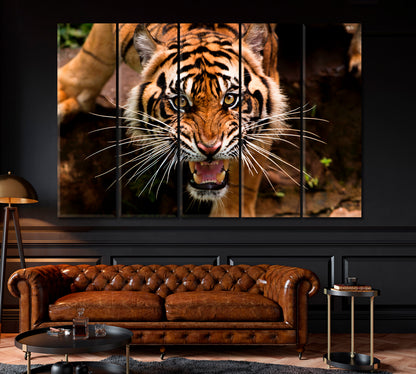 Angry Sumatran Tiger Canvas Print ArtLexy 5 Panels 36"x24" inches 