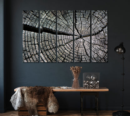 Old Cracked Log Canvas Print ArtLexy   