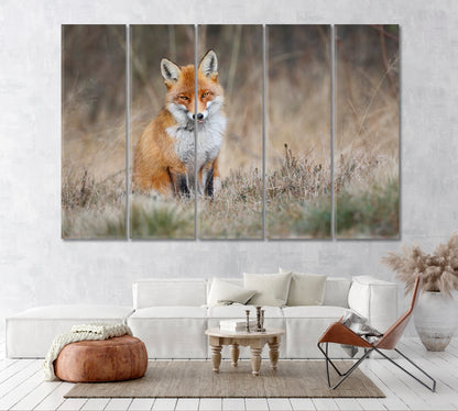 Red Fox in Meadow Canvas Print ArtLexy 5 Panels 36"x24" inches 