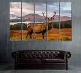 Wild Scottish Stag in Natural Habitat Canvas Print ArtLexy 5 Panels 36"x24" inches 