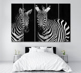 Zebras in Black and White Canvas Print ArtLexy 5 Panels 36"x24" inches 